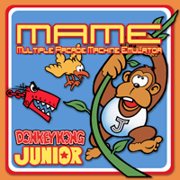 Donkey Kong Jr. (Flyer)